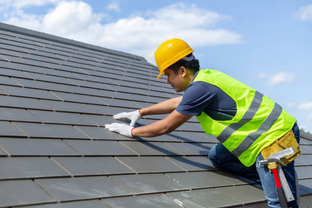 Best Solar Panel Roofing Installation  in Cavalier, ND