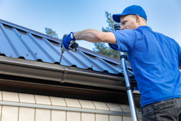 Best Roof Moss and Algae Removal  in Cavalier, ND