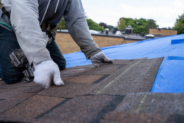 Best Storm Damage Roof Repair  in Cavalier, ND